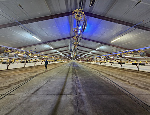 Zateplení podhledu na farmě